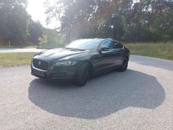 Schwarz Gebraucht 2018 Jaguar XF Prestige Limousine | 16.750 € (Etwas zu teuer)