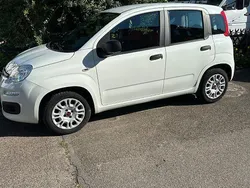 Weiß Gebraucht 2017 Fiat Panda Kleinwagen | 7.100 € (Fairer Preis)