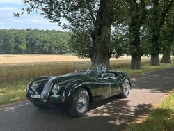 Grün Gebraucht 1956 Jaguar XK Cabrio | 130.000 €