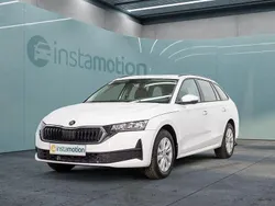 Weiß Neu 2024 Skoda Octavia Kombi | 27.749 € (Guter Preis)