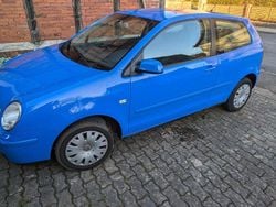 Blau Gebraucht 2005 VW Polo Cricket Kleinwagen | 1.499 € (Fairer Preis)