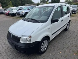 Weiß Gebraucht 2005 Fiat Panda Active Kleinwagen | 2.000 € (Fairer Preis)