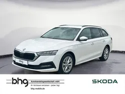 Weiß Gebraucht 2023 Skoda Octavia Ambition Kombi | 26.930 € (Fairer Preis)
