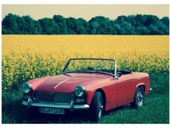 Rot Gebraucht 1963 MG Midget Cabrio | 16.000 €