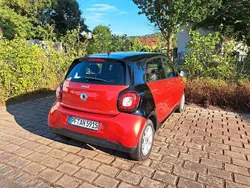 Rot Gebraucht 2018 Smart ForFour Kleinwagen | 8.900 € (Etwas zu teuer)