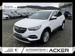 Othercolor Gebraucht 2018 Opel Grandland X Dynamic SUV | 13.980 € (Fairer Preis)