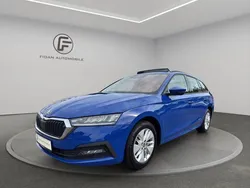 Energyblau Gebraucht 2021 Skoda Octavia Kombi | 18.850 € (Fairer Preis)