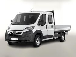 Icy weiß Neu 2025 Fiat Ducato Van | 37.152 € (Guter Preis)