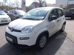Weiß Neu 2024 Fiat Panda Kleinwagen | 14.980 € (Fairer Preis)