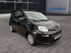 Schwarz Gebraucht 2024 Fiat Panda Kleinwagen | 16.490 € (Teuer)