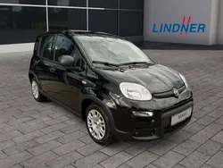 Schwarz Neu 2024 Fiat Panda Kleinwagen | 16.490 €