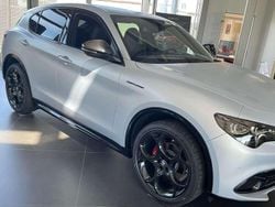 Grau Gebraucht 2023 Alfa Romeo Stelvio Competizione SUV | 50.000 €