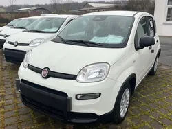 Weiß Neu 2025 Fiat Panda Kleinwagen | 14.990 €