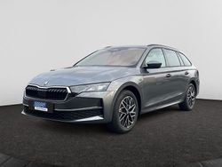 Grau Neu 2025 Skoda Octavia Tour Kombi | 38.290 € (Etwas zu teuer)