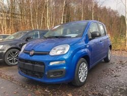 Blau Neu 2025 Fiat Grande Panda Kleinwagen | 12.698 € (Fairer Preis)