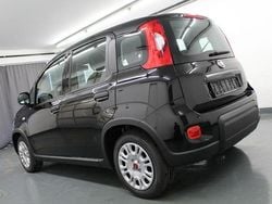 Schwarz Gebraucht 2023 Fiat Panda Kleinwagen | 13.989 € (Fairer Preis)