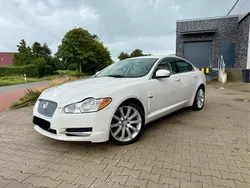 Weiß Gebraucht 2008 Jaguar XF Premium Luxury Limousine | 8.500 € (Fairer Preis)