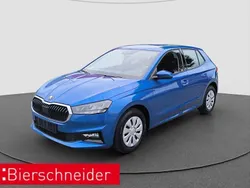 Grau Neu 2025 Skoda Fabia Selection Limousine | 18.990 € (Guter Preis)