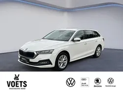 Weiß Gebraucht 2023 Skoda Octavia Style Kombi | 25.488 € (Fairer Preis)