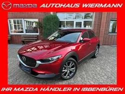 Rot Gebraucht 2024 Mazda CX-30 Takumi-Line SUV | 30.880 € (Etwas zu teuer)