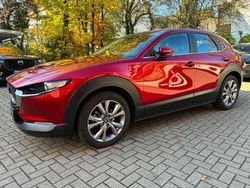 Rot Gebraucht 2023 Mazda CX-30 Selection SUV | 25.490 € (Fairer Preis)