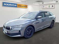 Grau Gebraucht 2025 Skoda Octavia Kombi | 26.590 € (Guter Preis)