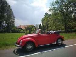 Rot Gebraucht 1972 VW Käfer Cabrio | 16.900 €