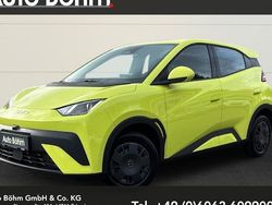 Grün Neu 2025 BYD Dolphin Surf Active Kleinwagen | 21.240 € (Guter Preis)