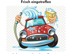 Weiß Gebraucht 2022 Renault Clio V Business Limousine | 13.673 € (Guter Preis)