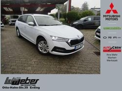 Bila moon/moon white Gebraucht 2023 Skoda Octavia Ambition Kombi | 17.990 € (Superpreis)