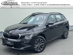 Schwarz Gebraucht 2022 Skoda Kamiq Tour SUV | 29.290 € (Teuer)