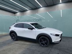 Weiß Gebraucht 2023 Mazda CX-30 Homura-Line SUV | 25.490 € (Etwas zu teuer)