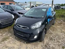Gebraucht 2014 Kia Picanto Attract Kleinwagen | 1.850 € (Guter Preis)