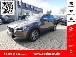 Grau Gebraucht 2019 Mazda CX-30 Selection SUV | 19.270 € (Guter Preis)