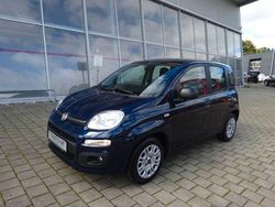 Blau Gebraucht 2022 Fiat Panda Kleinwagen | 12.380 €