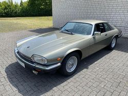 Grün Gebraucht 1989 Jaguar XJS | 27.900 €