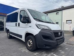 Weiß Gebraucht 2021 Fiat Ducato Van | 18.990 € (Superpreis)