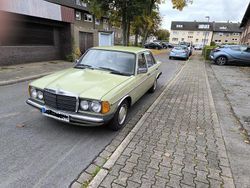 Grün Gebraucht 1979 Mercedes 240 Limousine | 4.350 €