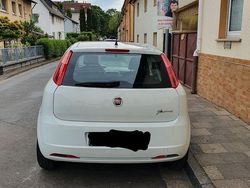 Weiß Gebraucht 2013 Fiat Punto Kleinwagen | 5.600 € (Fairer Preis)