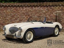 Weiß Gebraucht 1954 Austin Healey 100 Cabrio | 109.500 €