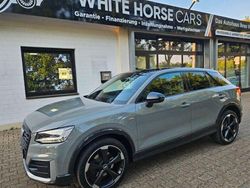 Grau Gebraucht 2017 Audi Q2 Design SUV | 22.198 € (Teuer)