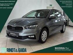 Grau Gebraucht 2024 Skoda Fabia Selection Kleinwagen | 18.999 € (Guter Preis)