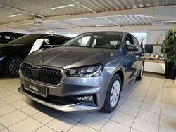 Graphitegrau metallic Gebraucht 2025 Skoda Fabia Selection Kleinwagen | 22.900 € (Teuer)
