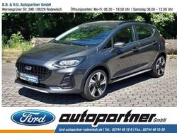 Grau Gebraucht 2023 Ford Fiesta Active Kleinwagen | 22.949 € (Teuer)