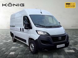 Weiß Gebraucht 2023 Fiat Ducato Van | 32.989 € (Teuer)