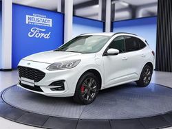 Frostwei Gebraucht 2021 Ford Kuga ST-Line X SUV | 19.990 € (Etwas zu teuer)