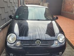 Schwarz Gebraucht 2004 VW Lupo Kleinwagen | 1.450 € (Fairer Preis)