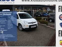 Weiss Gebraucht 2023 Fiat Panda Kleinwagen | 13.490 € (Fairer Preis)