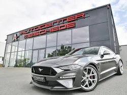 Magneticgrau metallic Gebraucht 2019 Ford Mustang GT Coupé | 49.790 € (Teuer)