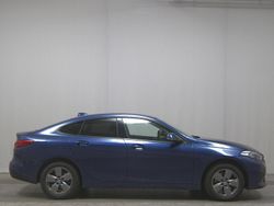 Blau Gebraucht 2020 BMW 216 Advantage Coupé | 20.680 € (Guter Preis)